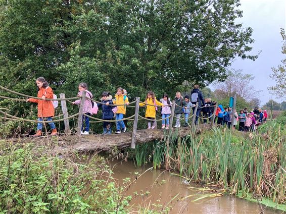 De Beerring op stap in het bos - Beringen