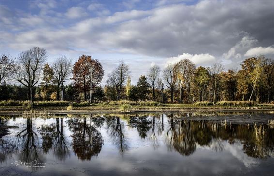 De Bever in november - Hamont-Achel