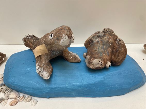 De bib duikt onder water - Beringen