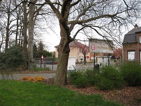 De boom van verdraagzaamheid - Neerpelt