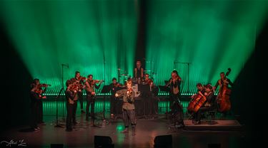 De brug tussen klassiek en folk - Pelt