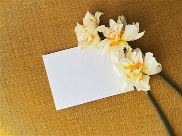 De cadeaubon-checklist voor het najaar: 4 vragen - Hamont-Achel & Hechtel-Eksel