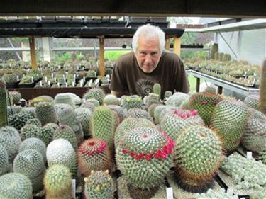 De coole cactussen van Paul - Beringen