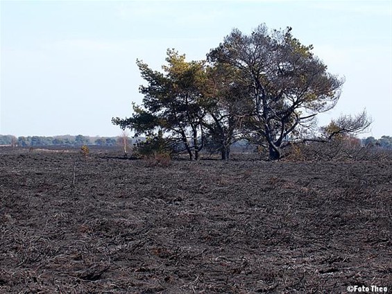 De dag na de brand... - Hamont-Achel