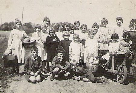 De dennenknoppenrapers van 1935 - Neerpelt
