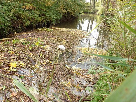 De Dommel als afvalbeek - Neerpelt