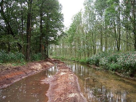 De Dommel krijgt een winterbed