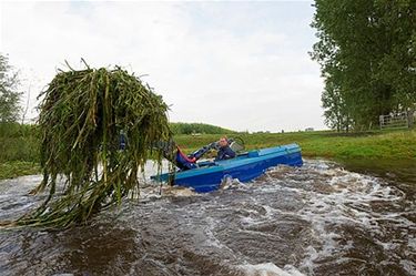 De Dommel wordt gemaaid - Neerpelt