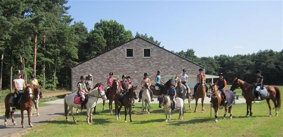 De Dravers op kamp - Neerpelt