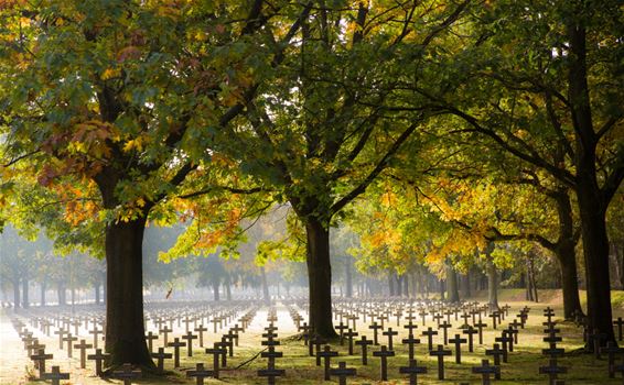 De Duitse militaire begraafplaats - Lommel