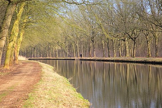 De eenzame wandelaar - Lommel