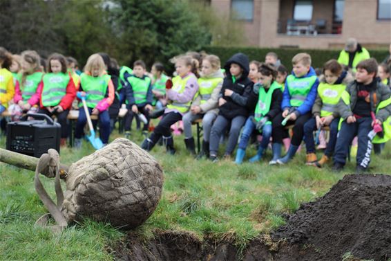 De eerste bomen voor een speelplein - Houthalen-Helchteren