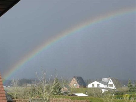 De eerste lentedag in Achel - Hamont-Achel