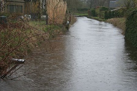 De eerste lentedag... - Neerpelt