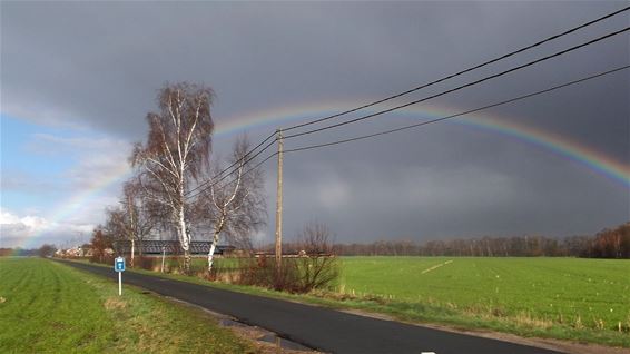 De eerste regenboog van het jaar - Pelt