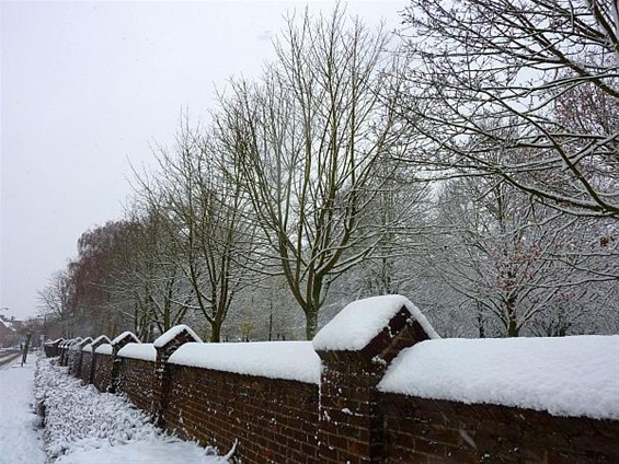 De eerste sneeuw - Hamont-Achel