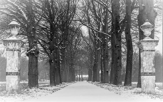 De eerste sneeuw - Overpelt