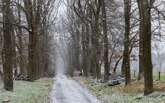 De eerste sneeuw... - Pelt