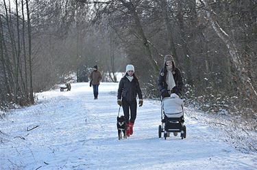 De eerste sneeuw... - Beringen