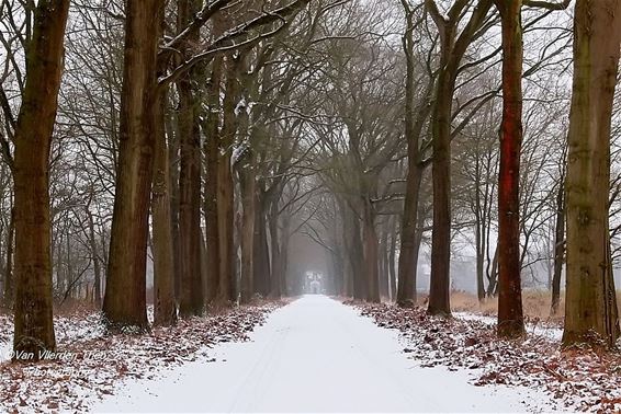 De eerste sneeuw - Hamont-Achel