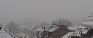 De eerste sneeuw - Beringen