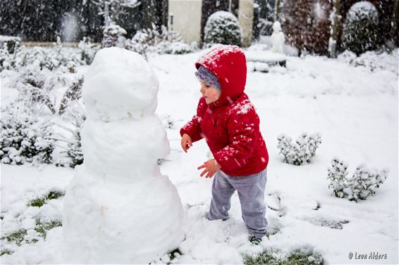 De eerste sneeuw - Neerpelt