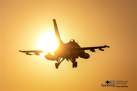 Straaljager in gouden avondlicht - Peer