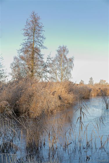 De eerste winterprik in het Hageven - Pelt