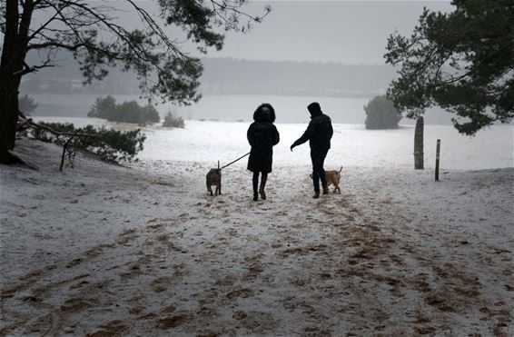 De eerste sneeuw - Lommel