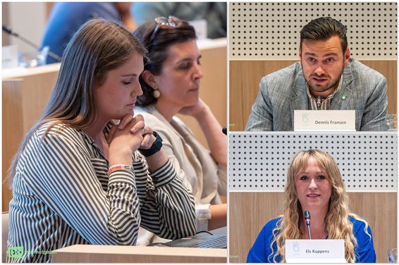 De gemeenteraad van 22 mei (8 en slot) - Pelt
