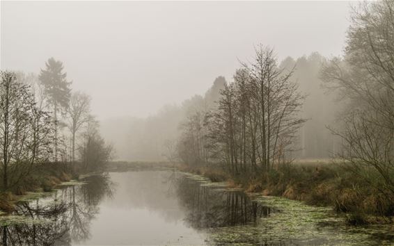 De grijze dagen in het Hobos - Overpelt