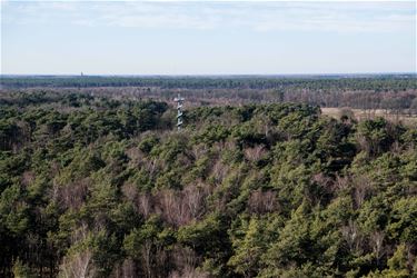 De groene long Limburg