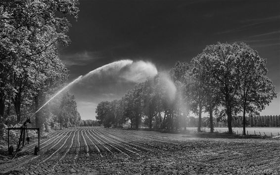 De grond heeft water nodig - Hamont-Achel