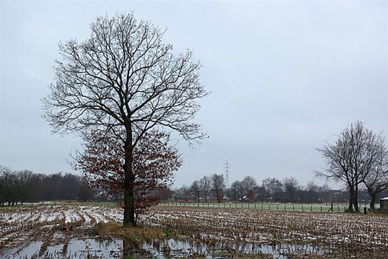 De grond is verzadigd - Overpelt