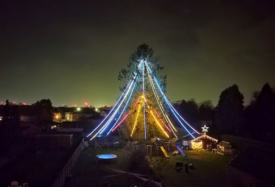 De grootste kerstboom van Beringen - Beringen