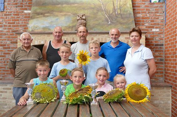 De grootste zonnebloem in SHLille - Neerpelt