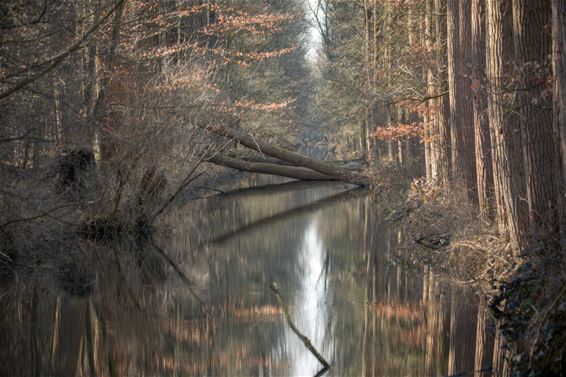 De Grote Fossé, een pareltje met historische roots - Lommel