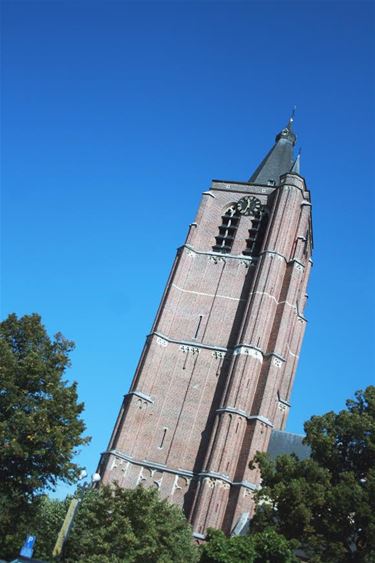 De Grote Vriendelijke Reus der Kempen - Peer