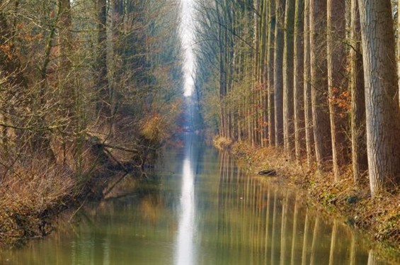 De herfst hangt er nog - Lommel