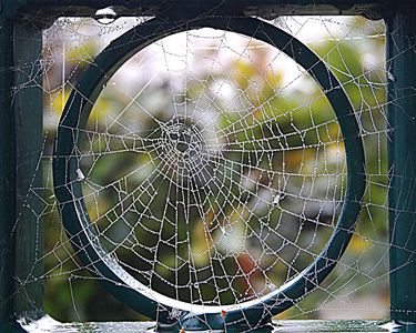 De herfst is echt begonnen - Lommel