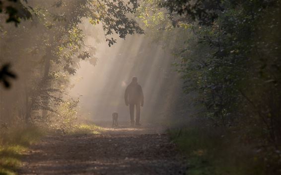 De herfst is in het land - Lommel