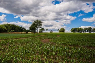 De heuvels van Paal - Beringen