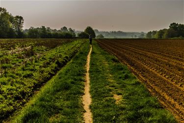 De heuvels van Paal - Beringen