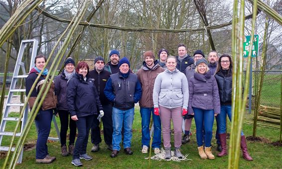 De Hoeksteen maakt wiglo van wilgen - Beringen