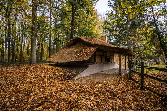 De kelderhut van Koersel - Beringen