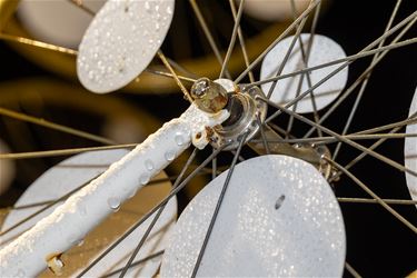 De Kerst(kunst)boom van de Ondernemersclub - Lommel