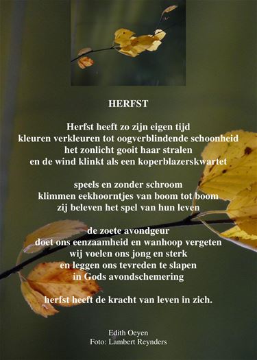 De kleuren van de herfst - Beringen