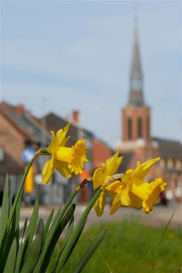 De kleuren van Pasen - Beringen