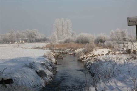 De kou in foto's - Overpelt