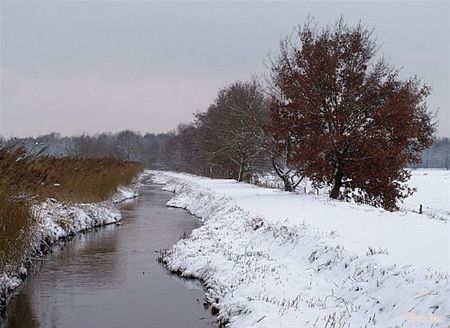De kou in foto's - Hamont-Achel